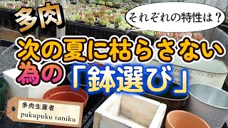 次の夏に枯らさない為の「鉢選び」それぞれの特性は？　　多肉生産者「pukupuku taniku」