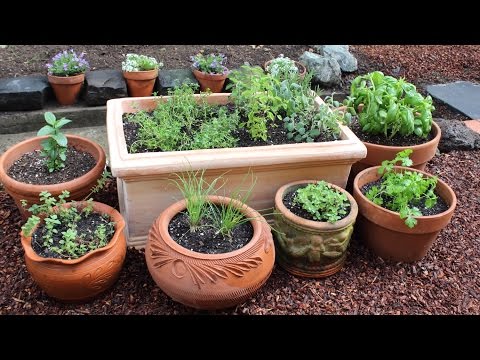 How to Plant a Culinary Herb Garden! DIY Kitchen Garden How to Plant a Culinary Herb Garden! DIY Kitchen Garden