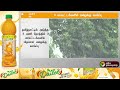 செங்கல்பட்டு நெல்லை கன்னியாகுமரியில் இடி மின்னலுடன் மிதமான மழை பெய்யக்கூடும்.. rain ptt