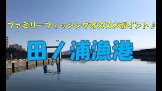 和歌山のファミリーフィッシングはここ！！fishingmax和歌山インター店