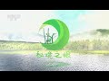 《秘境之眼》 猞猁 20230425 cctv