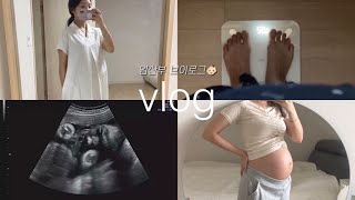 vlog. 30-31주 임산부 | 몸무게10kg돌파 | 눈뜬아기초음파 | 임신호흡곤란 | 임산부원피스 | 배크기 | 태동 | 한우오마카세 | 장미축제 | 출산전 친구들 만나기