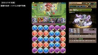 パズドラ「ECOコラボ 天国」霊護の白虎・ハク12.25倍PTノーコン攻略【覚醒ヘラ・ウルズ編成】