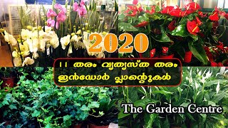 11 types different indoor plants /11 തരം വ്യത്യസ്തതരം ഇൻഡോർ പ്ലാൻറുകൾ / The Garden Center