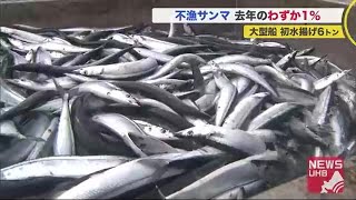 前年の「1パーセント」に衝撃…記録的不漁のサンマ大型船初水揚げ 地元鮮魚店では\