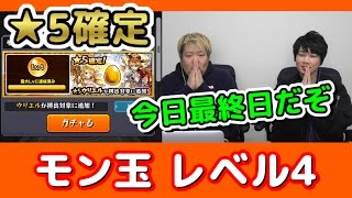 【モンスト】引き忘れてる皆さん！モン玉最終日だぞ！！星5確定 レベル4【こっタソのサブ垢】