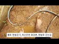 맨발걷기 7일차_척산온천 휴양촌 맨발로 걷는길