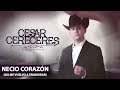 Cesar Cereceres - Necio Corazón (Video Oficial)