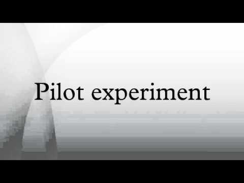 Pilot experiment Pilot experiment