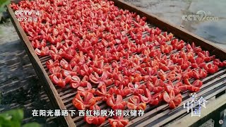 张家界人独特的干菜美味——干西红柿《美食中国》20200803 | 美食中国 Tasty China