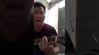 #တေးရေး-ကျူးကျော် (cover) P. L. G