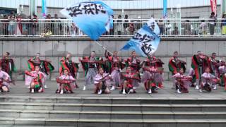 ハマこい踊り炎舞２０１２優秀賞－子鳩子兎　横浜百姫隊