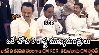 ఒకే చోట 3 రాష్ట్ర సింహాలు : AP CM YS Jagan Lunch With CM KCR And DMK Stalin || NSE