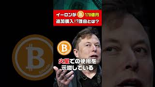 イーロン・マスクがBTCを178億円分追加で購入！？それと連動して爆騰する銘柄は○○です！ #仮想通貨 #shorts #brc20 #btc #xrp #sol #shib