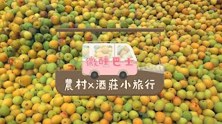 【微醺巴士：農村酒莊小旅行】信義鄉農會~梅子夢工廠