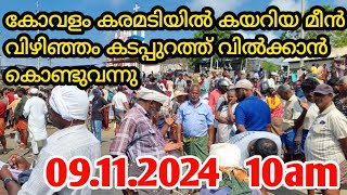 കോവളം കരമടിയിൽ കയറിയ മീൻ വിഴിഞ്ഞം കടപ്പുറത്ത് വിൽക്കാൻ കൊണ്ടുവന്നു #vizhinjam #kadalkara