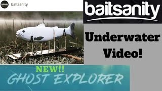 New Baitsanity Ghost Explorer Glide. Underwater Video