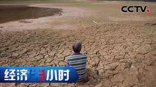 水库见底变成放牛场， 广西如何抗大旱？「经济半小时」20211126 | CCTV财经