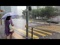 Typhoon LIONROCK T8 - Heavy Rain and Wind near Kerry Hotel, Hung Hom (Hong Kong) - 9/10/2021