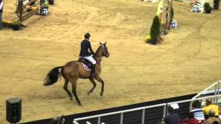 Ben Talbot - Undiamo - FEI World Cup Budapest 2015