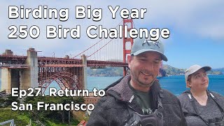 250 Bird Challenge in California Back To San Francisco Ep27