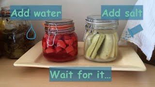 Fermentation Basics: Brine Method Explained - Part 1/2