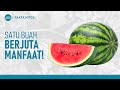 Siapa Sangka! Ini Manfaat Semangka | Hidup Sehat tvOne