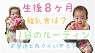 生後8ヶ月赤ちゃんとの１日🍼平日／完ミ／離乳食中期／2回食／ルーティン／ワンオペ