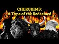 1. CHERUBIMS: A Type of the Redeemed (PART 1) - Keith Malcomson