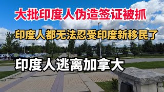 大批印度人伪造签证被抓，印度人逃离加拿大去美国，印度人都受不了印度新移民了，抗议非法合租。加拿大最后的希望。不信任动议提前发起大选，加拿大的经济到底好不好