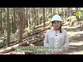 林業するなら山口県！～やまぐち森林・林業未来維新カレッジ～