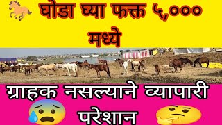 माळेगांव यात्रा || घोडा 🐎 बाजार || घोडा घ्या फक्त ५००० मध्ये || दक्षिण भारतातील सर्वात मोठी यात्रा 🤨