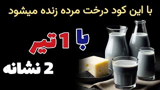 با این روش بهترین پنیر و قویترین کود خانگی ساختم | اگر یکبار امتحان کنید همیشه انجام خواهید داد