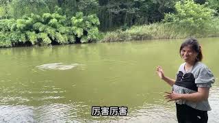 民间抓鱼牛人水猴子，自称不用工具能徒手抓鱼，大家说能抓到吗