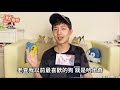 吉娃娃＝外星瘋狗 狗狗迷因霸主超詳細介紹｜tvbs新聞｜擠看看