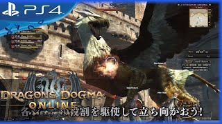 Dragon's Dogma Online - Game Commentary Promo Video - PS4, PS3 [Japanese]