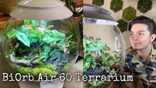 BiOrb Air 60 Terrarium | Assembly \u0026 Planting