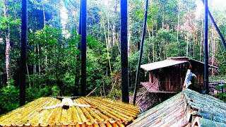 remake the bamboo house in the forest ep 1 | Lsl farm life,