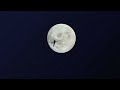 Accumulation for Bitcoin and Altcoin Market Matures as ABC Materializes, XRP Awaits Market, RTY Up