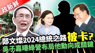 【政新鮮】鄭文燦2024總統之路被卡？　吳子嘉曝綠營布局他動向成關鍵｜中時新聞網