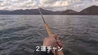 支笏湖 フライフィッシング シルバーメタリックな魚体が宙を舞う