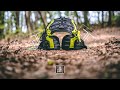 EDELRID TREEREX TRIPLE LOCK -  The versatile Tree-Climbing harness for Arborist