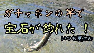 【南多摩駅から】多摩川でガチャポン竿で初釣り！宝石のような魚が釣れました！