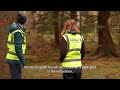 ForES Sustainable Forestry Project Introductory Video