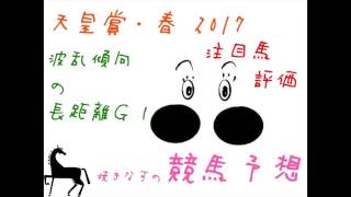 焼きなすの競馬予想 天皇賞･春2017 注目馬評価 買い目公開