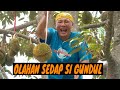 [FULL] OLAHAN SEDAP SI GUNDUL | JEJAK SI GUNDUL (15/07/24)