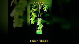 你第一眼看到的是什么：#心理学知识 #趣味小游戏#金老师画室