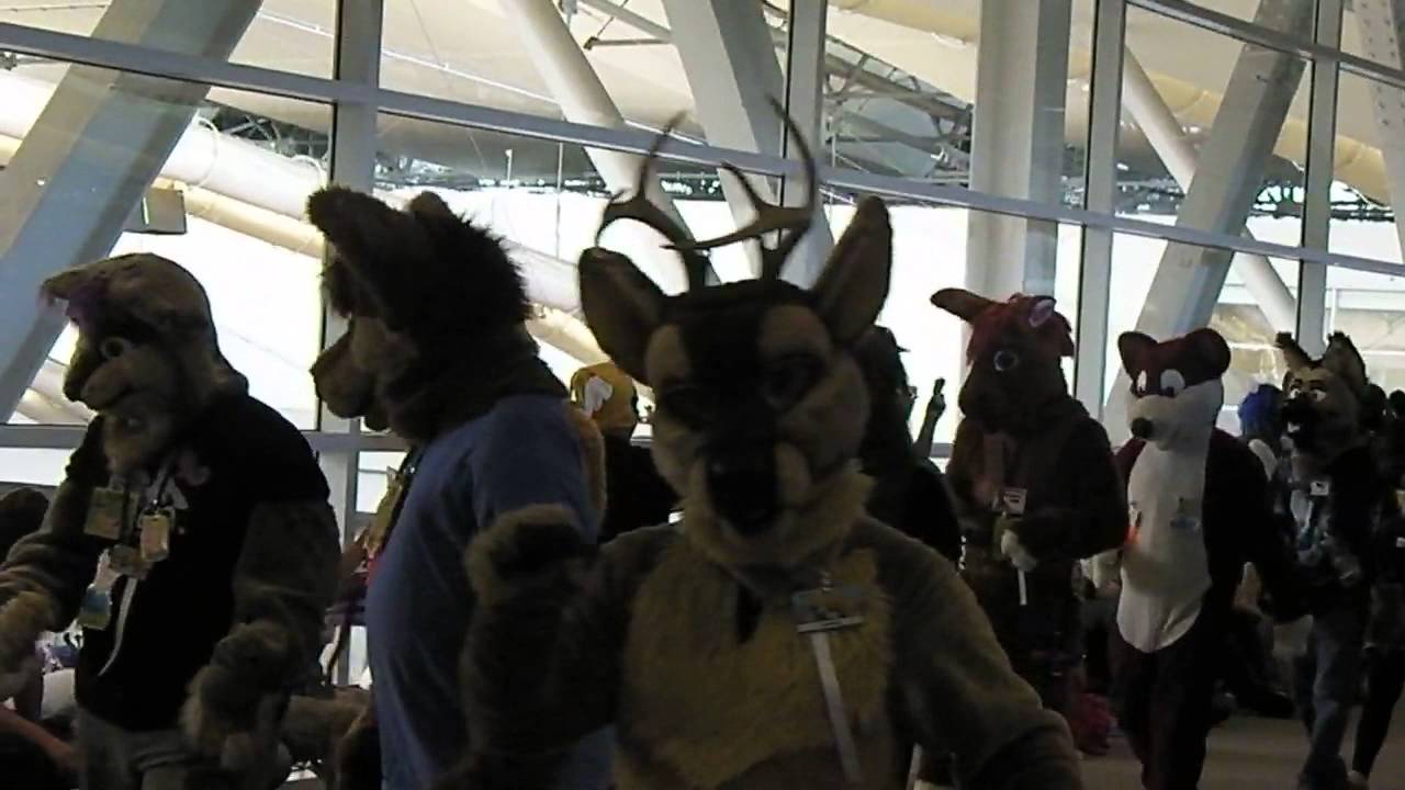 AnthroCon 2013: Fursuit Parade - YouTube