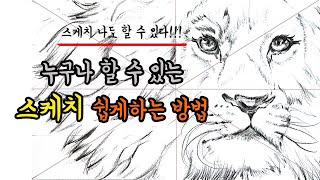 스케치 쉽게 하는 방법/ 왕초보도 따라할 수 있는 스케치하는 방법/Sketch illustration