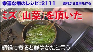 幸運な病のレシピ（ 2111 ）朝：「後片付けを科学する」、鮭、ミズの味噌汁